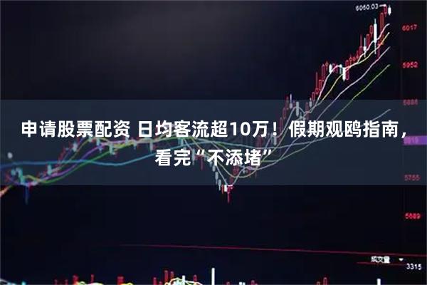 申请股票配资 日均客流超10万！假期观鸥指南，看完“不添堵”