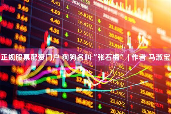 正规股票配资门户 狗狗名叫“张石榴” | 作者 马淑宝