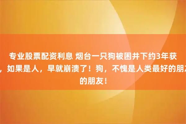 专业股票配资利息 烟台一只狗被困井下约3年获救，如果是人，早就崩溃了！狗，不愧是人类最好的朋友！