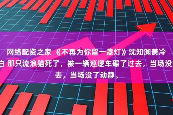 网络配资之家 《不再为你留一盏灯》沈知渊萧冷玉苏洛白 那只流浪猫死了,被一辆巡逻车碾了过去,当场没了动静。