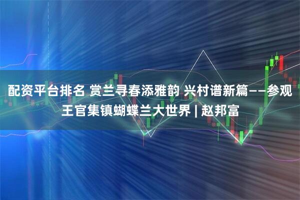 配资平台排名 赏兰寻春添雅韵 兴村谱新篇——参观王官集镇蝴蝶兰大世界 | 赵邦富